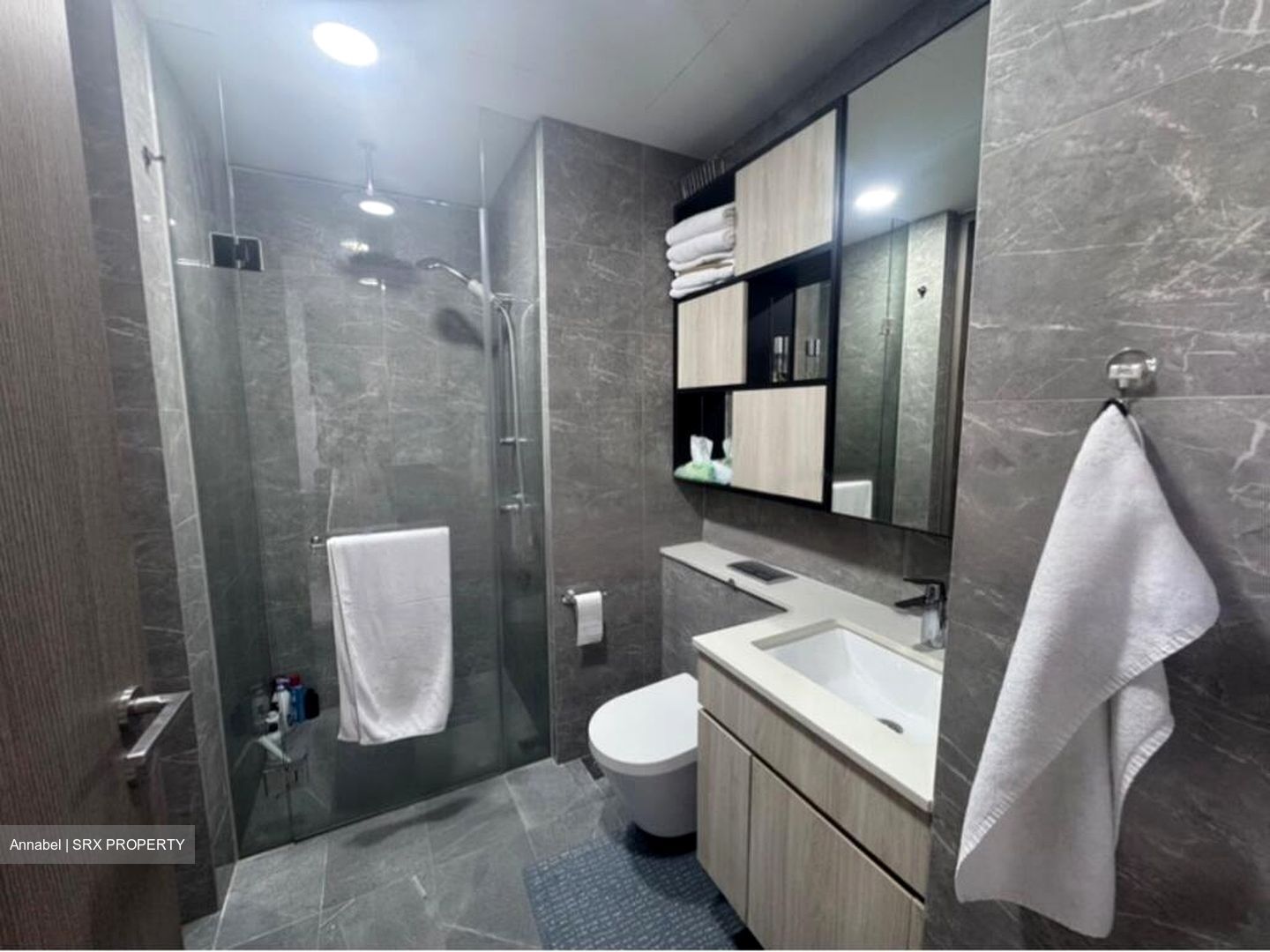 Kent Ridge Hill Residences (D5), Apartment #485785131
